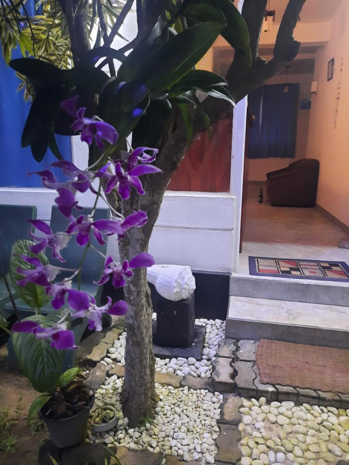 White Surfing Beach Resort Unawatuna Exterior photo