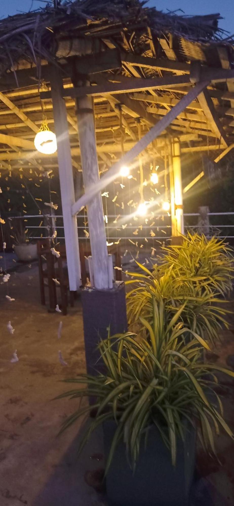 White Surfing Beach Resort Unawatuna Exterior photo
